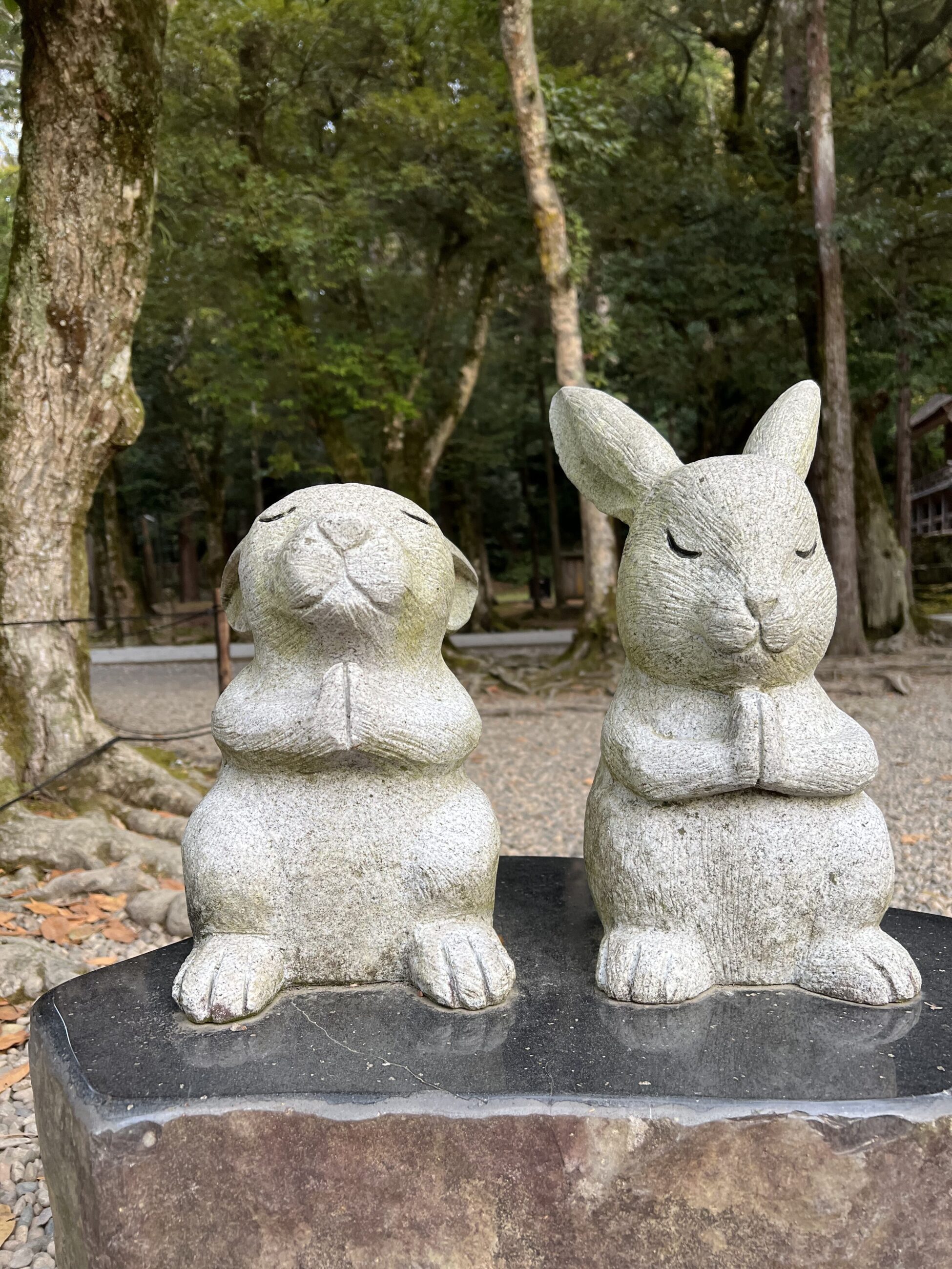 『わたしの天の岩戸開き』㊵神在月には出雲の國へ〜出雲大社〜