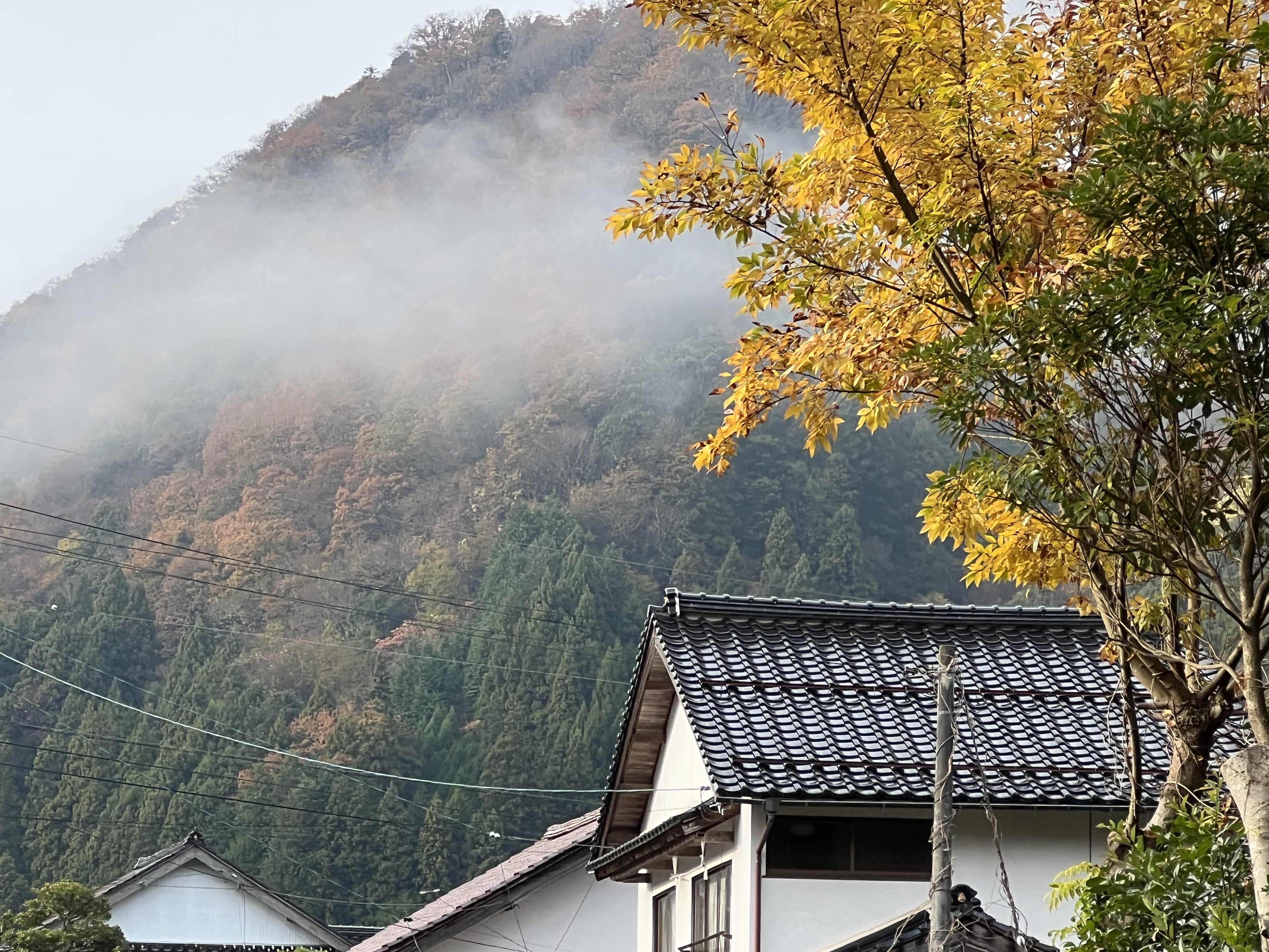 『わたしの天の岩戸開き』㊶出雲國の神様に会いに①七不思議から始まり縁結びそして安産の神様へ〜須佐神社・神魂神社・八重垣神社・美保神社〜